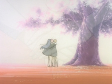 Rayearth: Luchadoras de leyenda